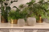 Vaas Pebble S 22 cm - Bruin - Glas