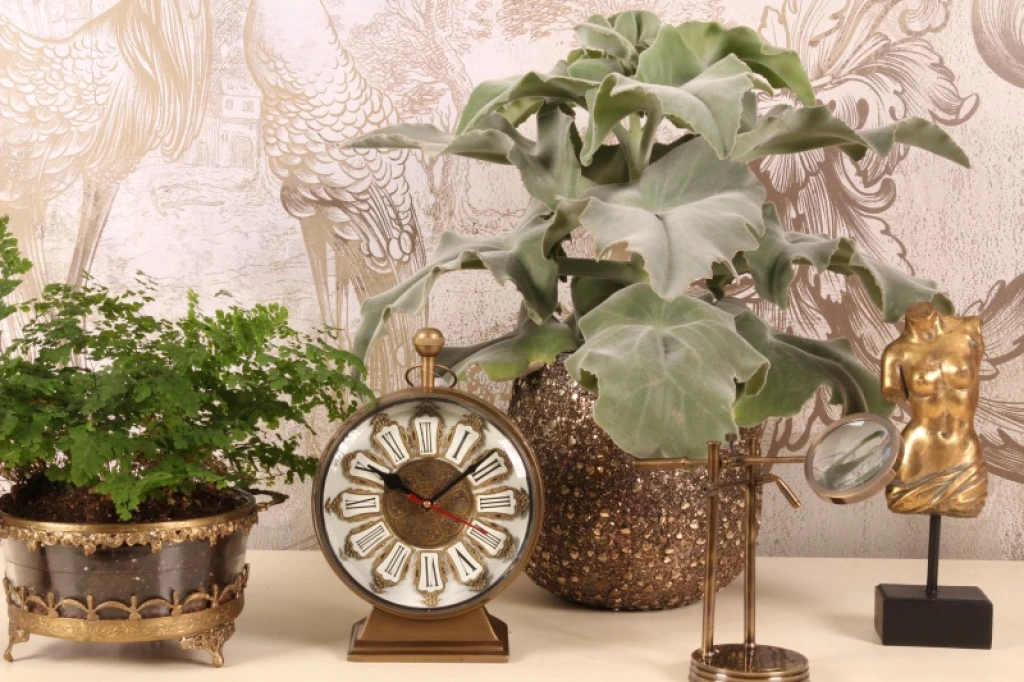 Bordur Alain - messing - guld - 27 cm